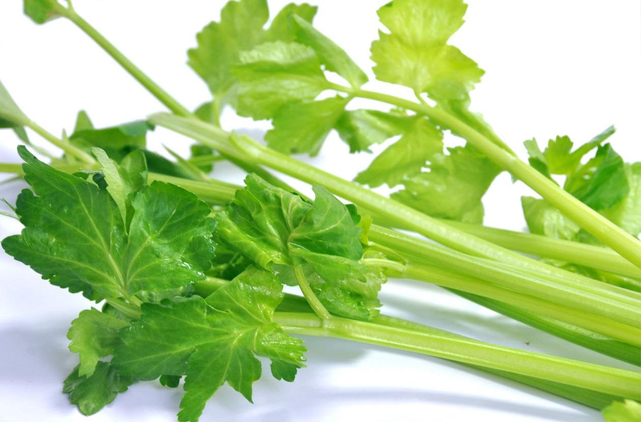 蔬菜是個寶，這些部位也更好！