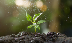 農業(yè)氣象站如何進行數據處理